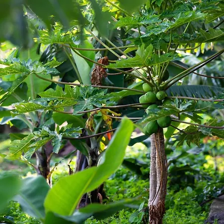 Casa Miguel * 마치코