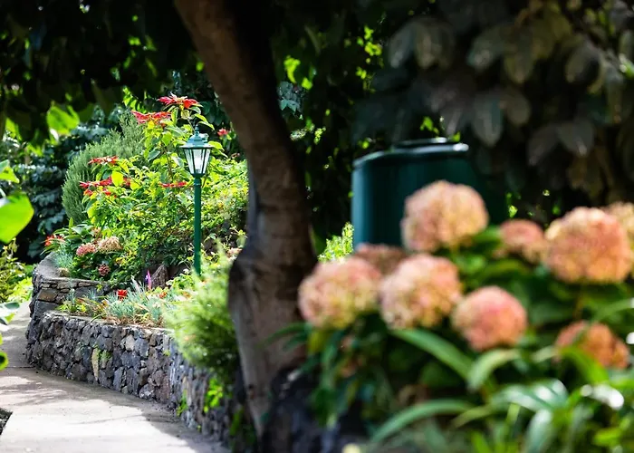 Casa de Férias Casa Miguel Machico (Madeira)