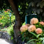 Holiday home Casa Miguel Machico (Madeira)