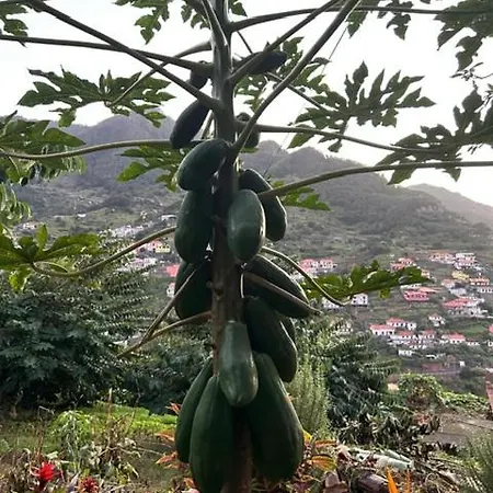 Casa Miguel
