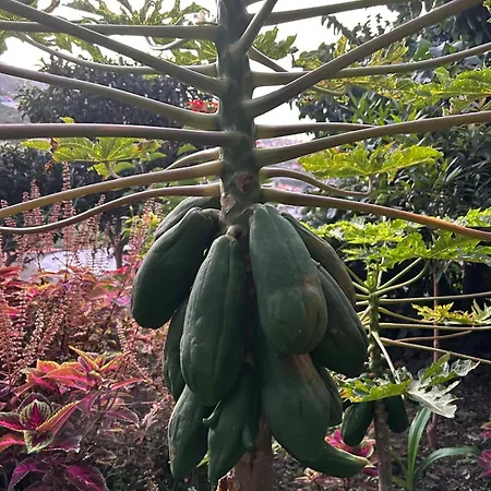 Casa Miguel Ferienhaus