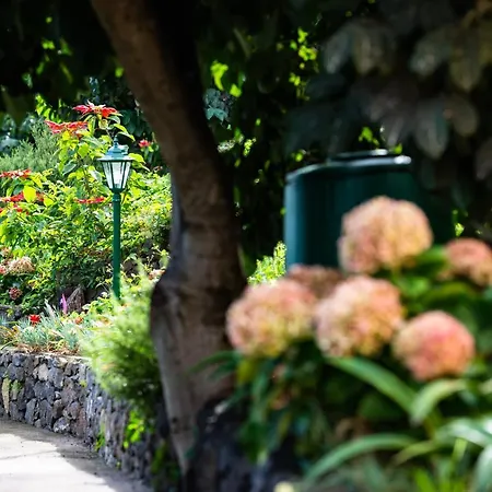 Hébergement de vacances Casa Miguel Machico (Madeira)